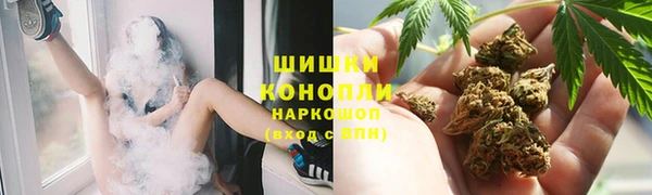 прущие крисы Белокуриха