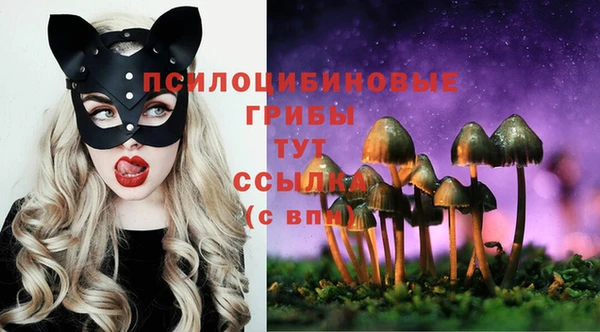 прущие крисы Белокуриха