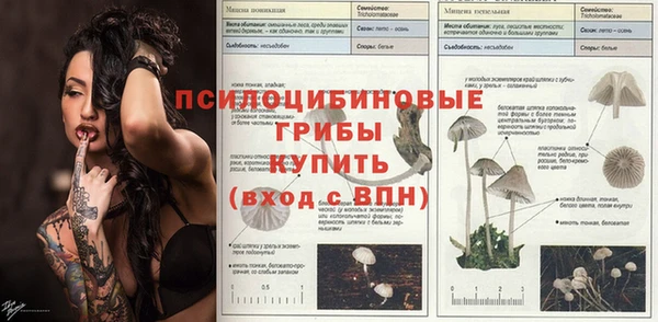 прущие крисы Белокуриха