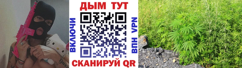 Канабис семена  Купить где  Собинка 